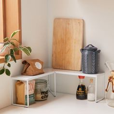 a corner shelf with various items on it and a potted plant in the corner