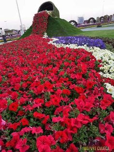 many different colored flowers are in the ground