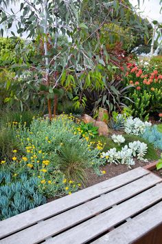 a wooden bench sitting next to a garden filled with lots of plants and flowers on top of it