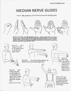 Ulnar Nerve, Median Nerve, Physical Therapist Assistant, Occupational Therapy Activities, Home Exercise Program, Physical Therapy Exercises, Medical Anatomy