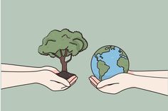 two hands holding a small tree and the earth