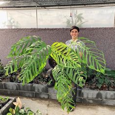 a man sitting in front of a plant filled with lots of green plants and smiling at the camera