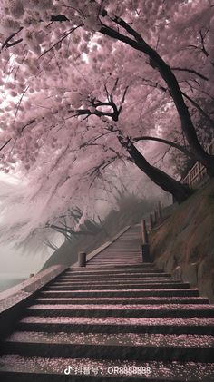 stairs leading up to the water with pink flowers on them and trees in blooming