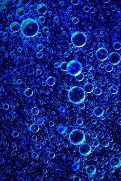 blue bubbles are floating in the water