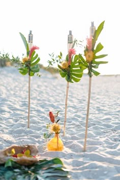 there are some flowers on sticks in the sand