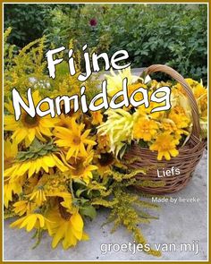 a basket filled with yellow flowers sitting on top of a cement ground next to plants