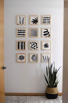 a plant is sitting on the floor in front of some framed pictures