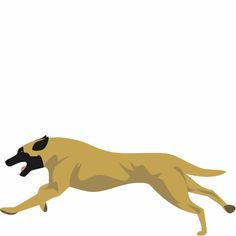 a dog is running with it's mouth open