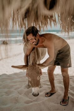 a man is petting a donkey on the beach