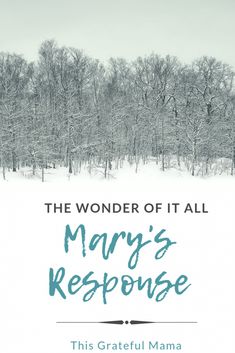 the wonder of it all, mary's response by this grateful mama cover image