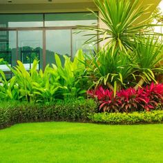 a green lawn with flowers and plants in front of a glass door that says make your grass greener with