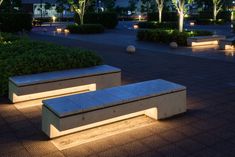 two benches are lit up at night in a park