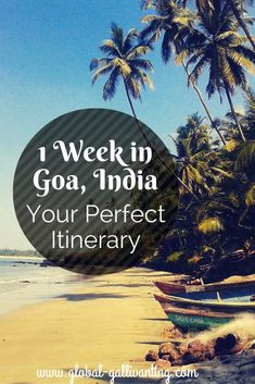 boats on the beach with palm trees in the background and text that reads i week in goa, india your perfect itinerary