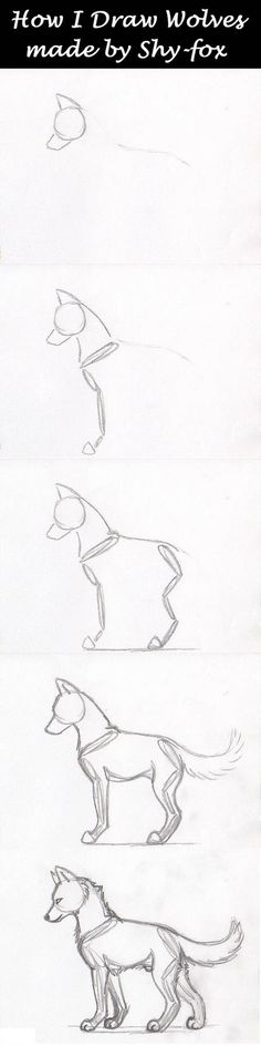 three drawings of dogs and their reflection in water, with the words how i draw wieners