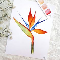 a watercolor painting of a bird of paradise flower on white paper next to some flowers