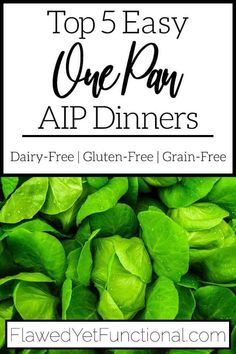 the top 5 easy one - pan app dinners with text overlay that reads, dairy free gluten - free grain - free