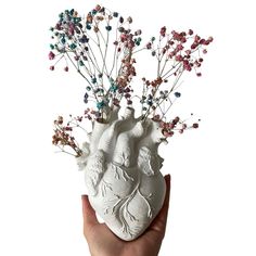 a hand holding a vase with flowers and branches in it's heart shape, on a white background