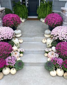 purple flowers and white pumpkins are on the steps to a front door with stone pillars