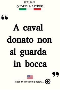 Italian Saying: A caval donato non si guarda in bocca. Be Grateful