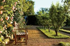 a wooden bench sitting in the middle of a garden filled with trees and flowers on either side of it