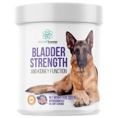 PET CARE Sciences Bladder Strength Approx 55 Chews - Natural Dog UTI Treatment - Kidney Support for Dogs - Dog Cranberry Supp Kidney Supplements, Dog Incontinence, Weak Bladder, Kidney Support, Cranberry Supplements, Dog Spay, Kidney Function, Bladder Control, Dog Supplements