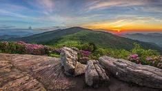 the sun is setting in the mountains with rocks and wildflowers on the foreground