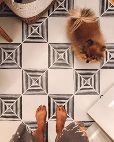 a person standing on a tiled floor next to a small brown dog with long hair