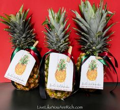 three pineapples with tags tied to them