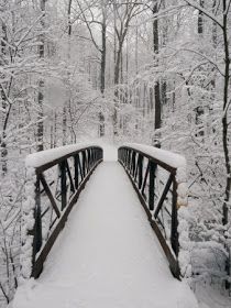 a bridge in the middle of a snowy forest