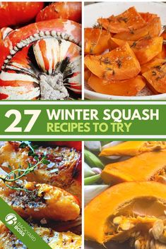 the cover of 27 winter squash recipes to try, with pictures of different types of squash