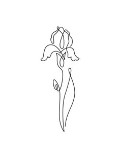 a single line drawing of a flower