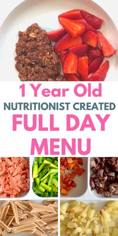 Balanced Nutritionist, Easy Schedule, Baby Meal Plan, Daycare Meals, Baby Lunch, Baby Dinner, Baby Breakfast, Easy Toddler Meals, Healthy Meal Plan