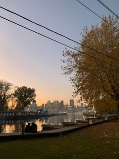 there are many boats docked on the water in front of some trees and power lines