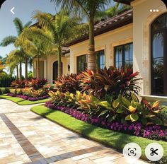 a house with landscaping and palm trees in the front yard is featured on an instagram