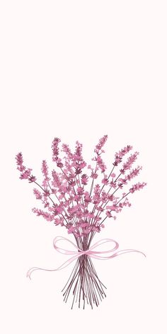 a bunch of purple flowers in a vase on a white background with a pink ribbon