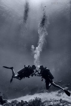 two people diving in the ocean with scuba gear