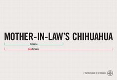 the mother - in - law's chihuahuaha logo is shown on a white background