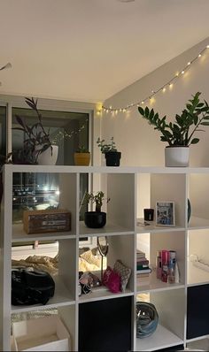 a room filled with lots of white shelves and plants