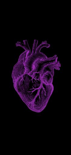 an image of a human heart on a black background