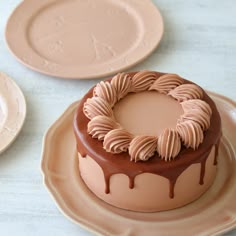 a chocolate cake sitting on top of a plate