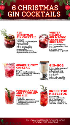 Christmas Gin Cocktails Empress Gin Winter Cocktail, Easy Batch Christmas Cocktails, Holiday Gin And Tonic, Christmas Cocktail With Gin, Vegan Christmas Cocktails, Cranberry Gin Spritz, Holiday Cocktails Gin, Gin Cocktails Winter, Christmas Gin Cocktails Recipes