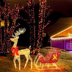 christmas lights and reindeer statues in front of a house with trees lit up at night