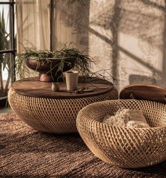 two wicker chairs sitting on top of a rug next to a table and potted plant