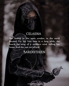 Celaena Sardothien Assassins Blade, Assasins Blade Book Aesthetic, Throne Of Glass Book 1 Quotes, Celaena Sardothien Quotes, Assassins Blade Aesthetic, Assasins Blade Fanart, Assassins Blade Quotes, The Assassins Blade Aesthetic, Celaena Sardothien Cosplay