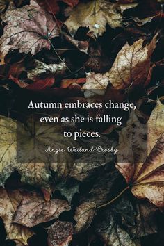 Fall Quotes by Angie Weiland-Crosby | Photo by Eberhard Grossagasteiger Fall Quotes Autumn, Waterfall Quotes, Falling To Pieces, Autumn Poetry, Fall Sayings, Mother's Day In Heaven, Leaf Quotes, Leaving Quotes, Nature Quotes Inspirational