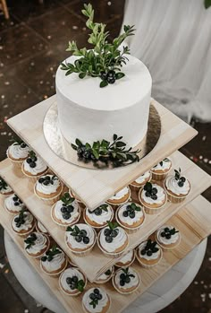 a three tiered cake with cupcakes on it and greenery in the middle