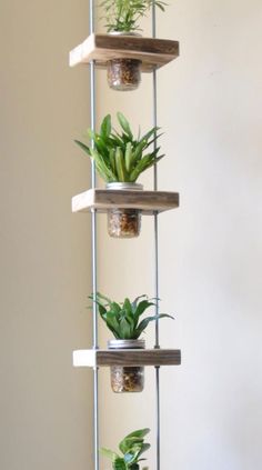 three hanging planters filled with plants on top of a wooden shelf next to a white wall