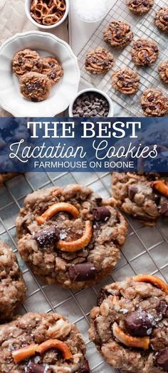 The best lactation cookies strike a perfect balance of healthy and indulgent. Sweet, salty, chewy, and crunchy. These hit every craving and are perfect for a postpartum mama. Best Lactation Cookies, Breastfeeding Cookies, Farmhouse On Boone, Lactation Cookies Recipe, Breastfeeding Snacks, Breastfeeding Foods, Lactation Recipes, Lactation Cookies, Pregnancy Food