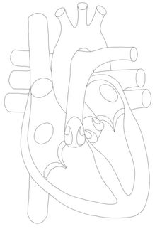 the human heart is shown in black and white