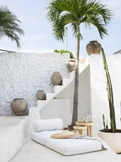 a palm tree in front of a white wall and some plants on the steps leading up to it